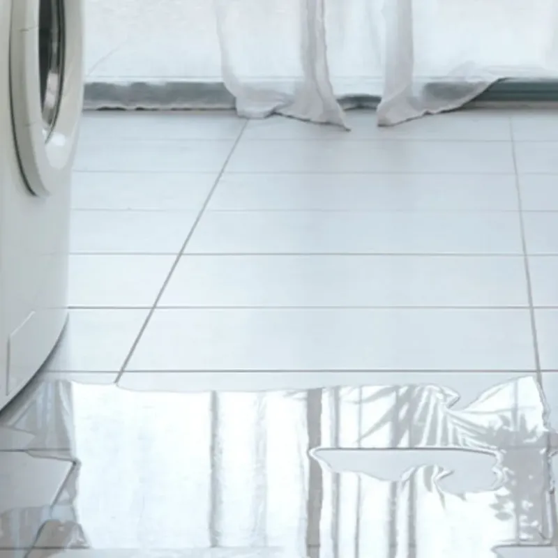 Appliance Leak Cleanup in Waupaca, WI