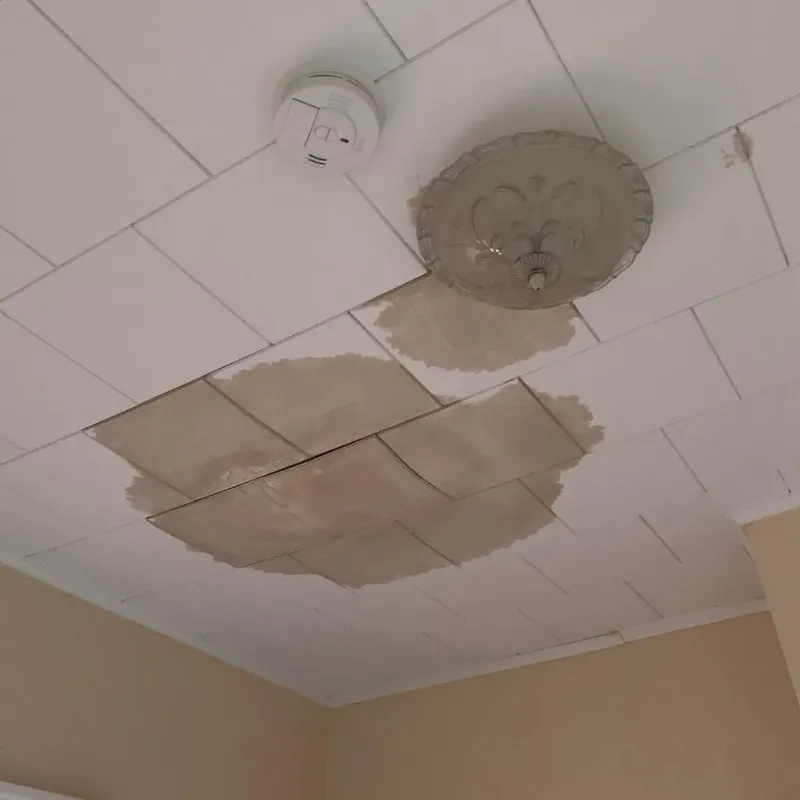 Ceiling Water Damage Repair in Waupaca, WI