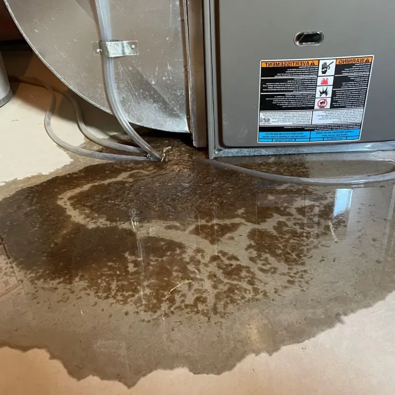 Pipe Burst and Leak Restoration in Waupaca, WI